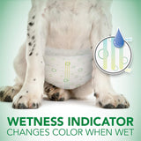 Vet&#39;s Best Comfort Fit - Pañales absorbentes con ajuste