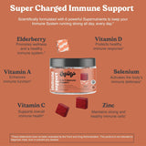 Suplemento de apoyo inmunológico 6 en 1 masticables afrutado