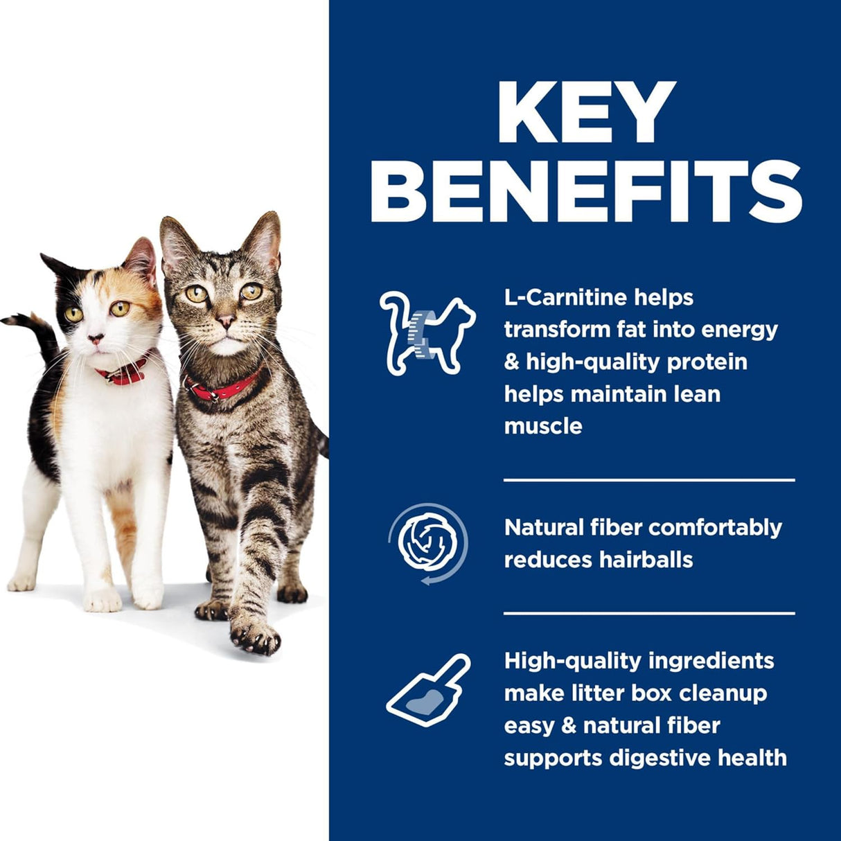 Hill&#39;s Science Diet Alimento seco para gatos, adultos, múltiples beneficios, receta de pollo, bolsa de 7 libras