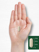 Carlyle Vitamina C 1000mg Caplets con Rosa HIPS suplemento