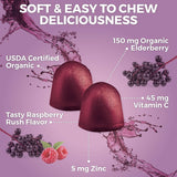 Suplementos Alimenticios de saúco negras orgánicas con zinc