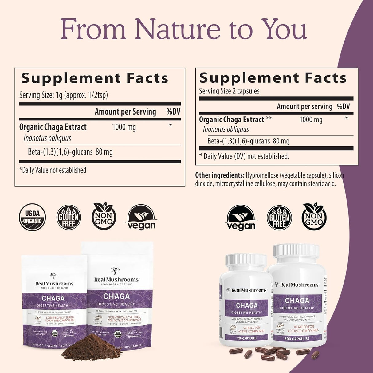 Polvo orgánico de champiñones Chaga para la salud digestiva e inmunológica