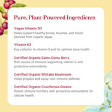 Pure Synergy D3 + K2 Complejo Vegano | Orgánico 60 cápsulas
