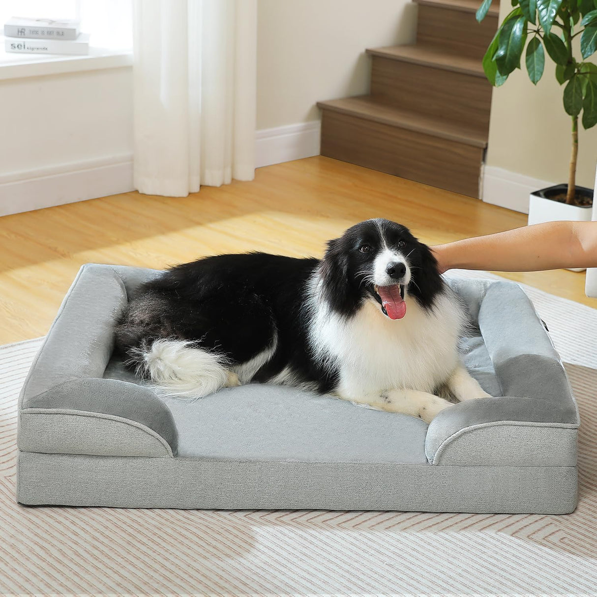 Cama ortopédica para perro PAWZ Road, lavable, tamaño grande