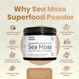 Atlantic Naturals Polvo de Sea Moss con Ashwagandha y Maca - 150g