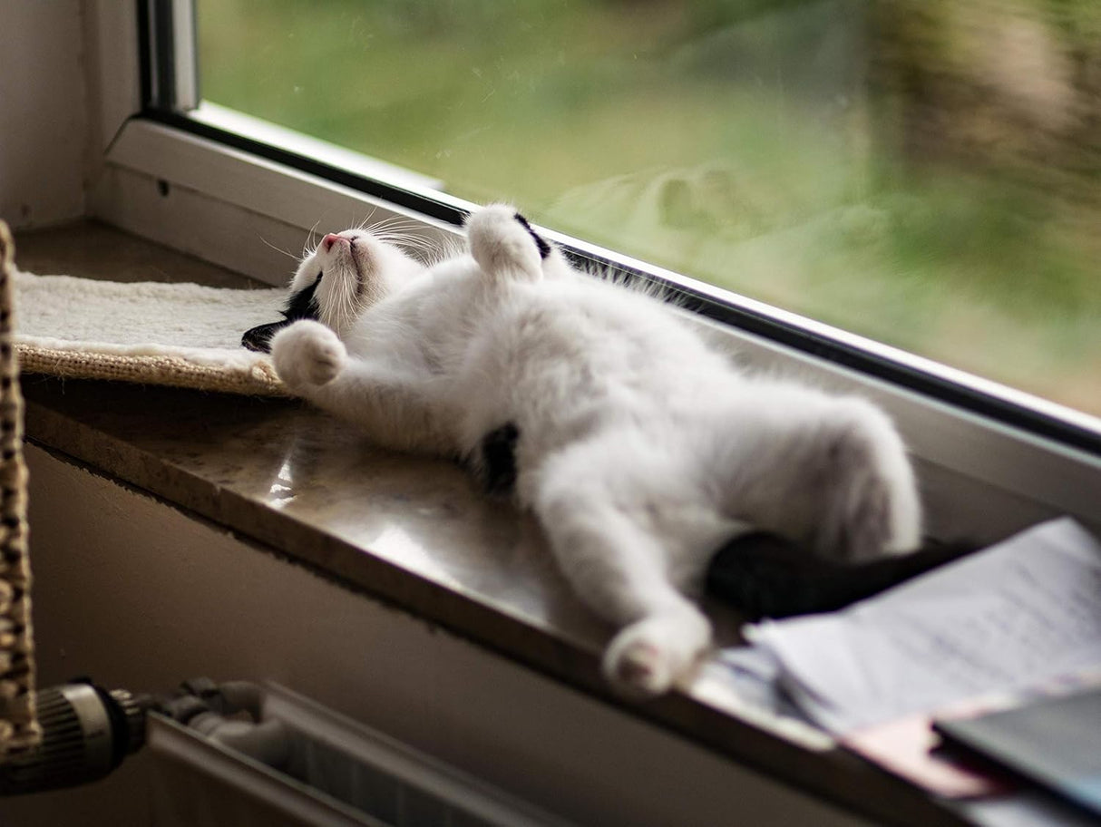 90 capsulas por botellas de calmantes para gatos PETS LLC