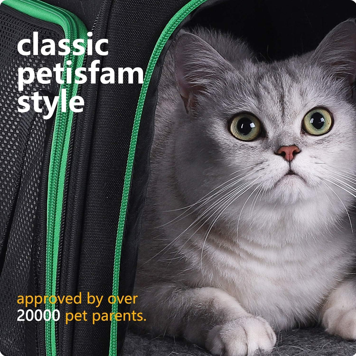 Transportador fácil para gatos medianos y perros pequeños - Aprobado para aerolíneas, carga superior, colapsable
