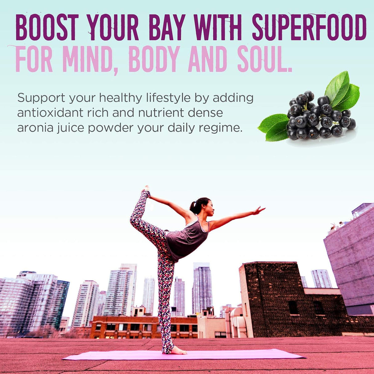 Suplemento  Aronia Berry Powder Jugo denso antioxidante