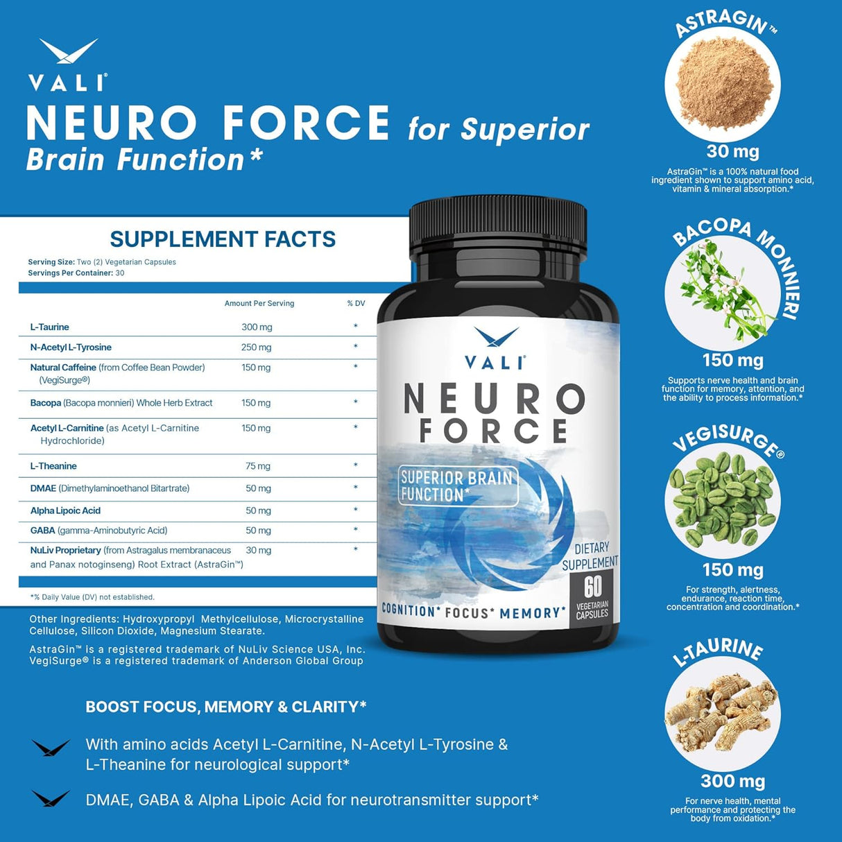 Suplementos Alimenticios de refuerzo cerebral para enfoque