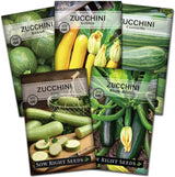 Colección de Semillas de Calabacín - Sow Right Seeds - Heirloom