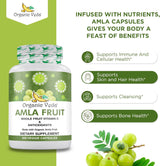 Cápsulas de Amla Orgánica 1000 mg Antioxidantes y Vitamina C
