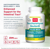 Suplementos  mantener la micro intestinal