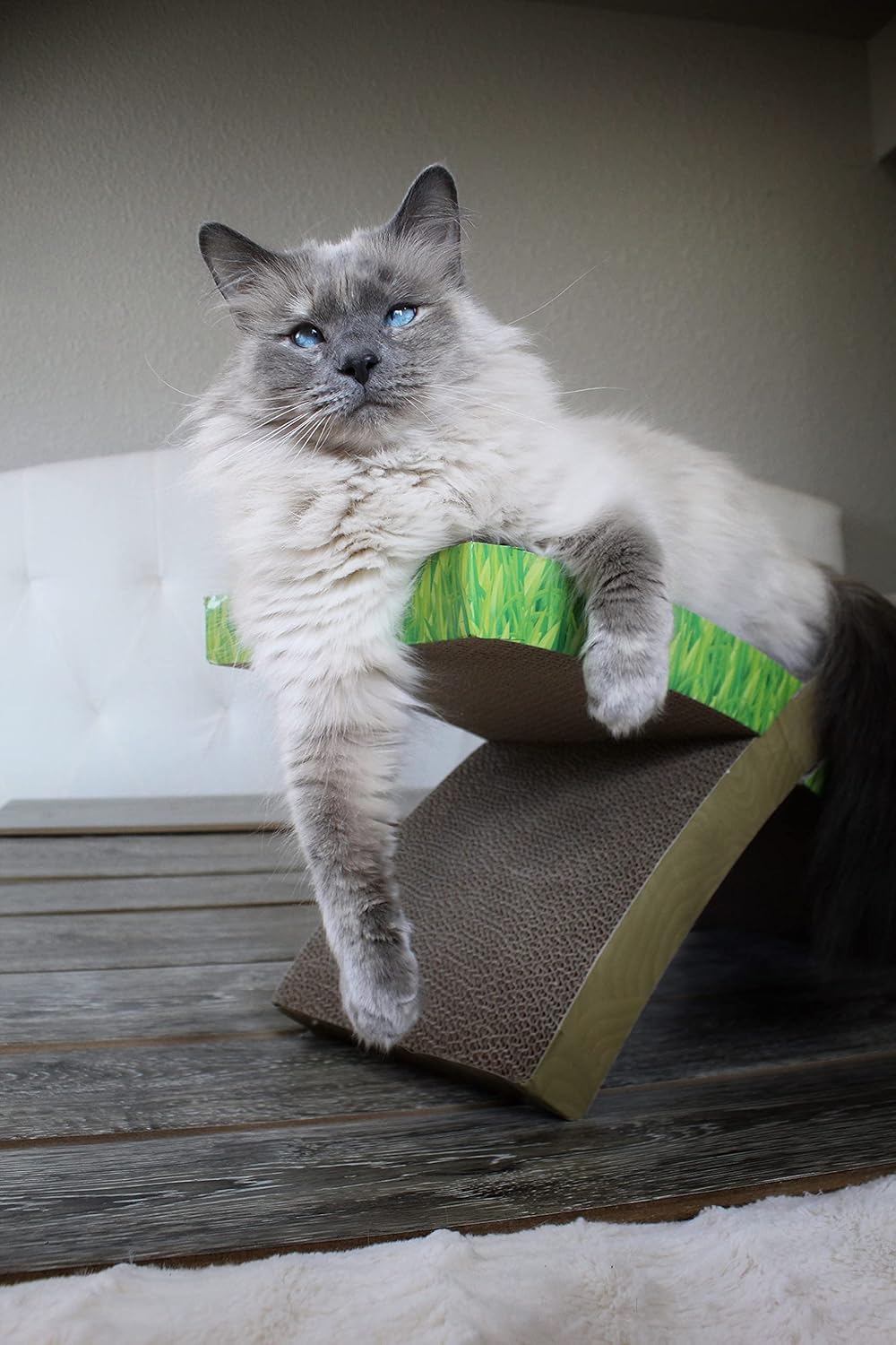 Rascador de cartón para gatos sofá y lugar de juegos