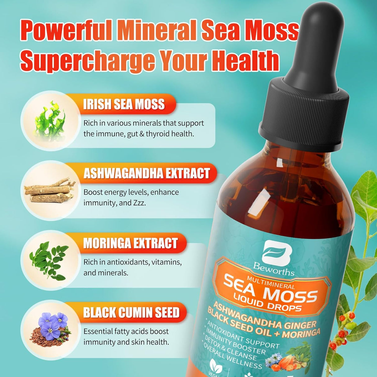 2PACK Sea Moss Drops - Irish Sea Moss con Hierba de Vaca
