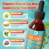 2PACK Sea Moss Drops - Irish Sea Moss con Hierba de Vaca