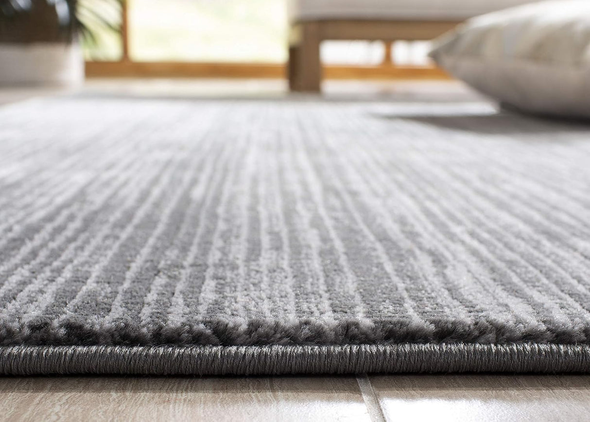 Alfombra Moderna Ombre Chic SAFAVIEH, 8' x 10', VSN606D