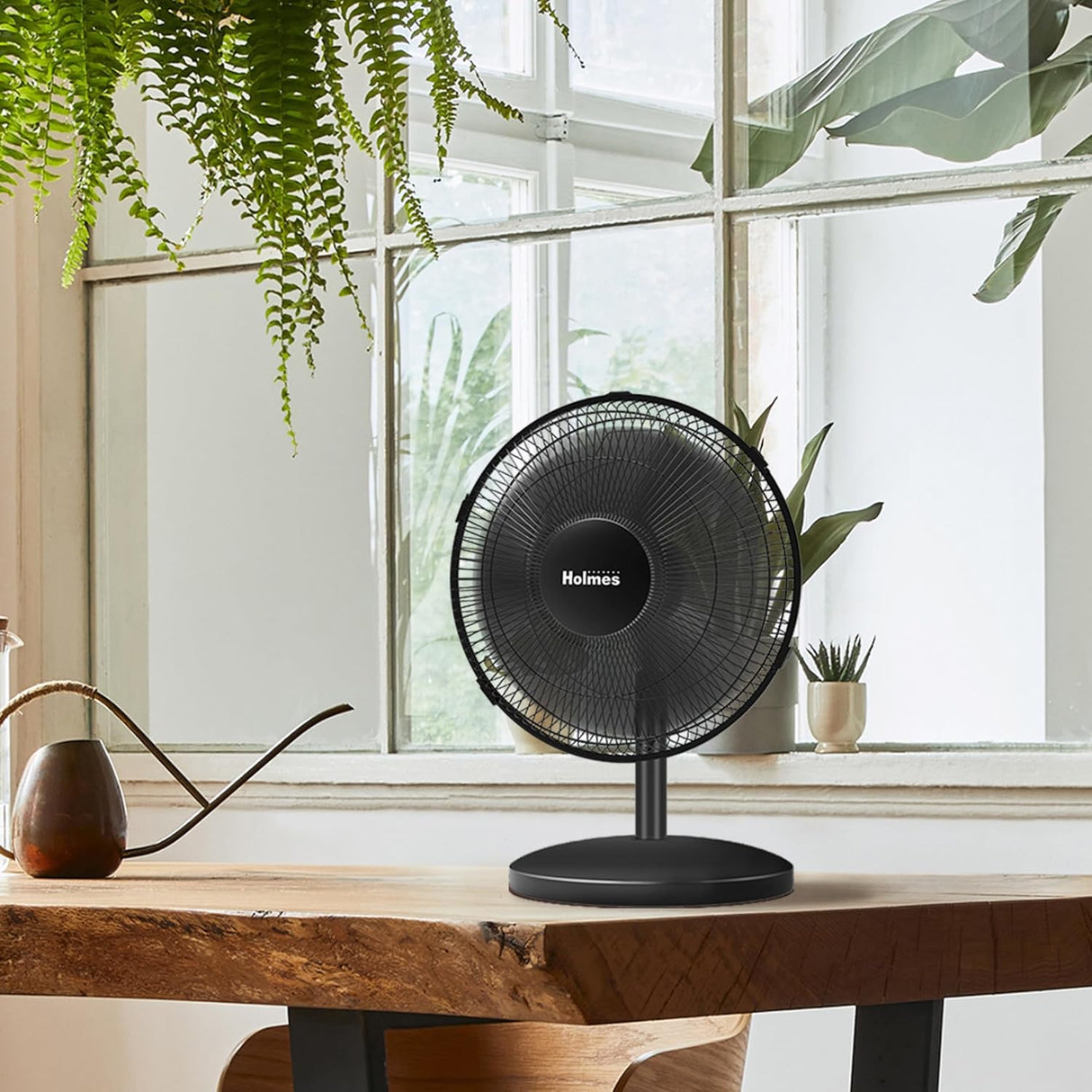 HOLMES Ventilador de Mesa 12, 3 Velocidades, Oscilación 75°