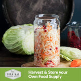 Semillas de Repollo Dutch - Survival Garden - No GMO, Heirloom
