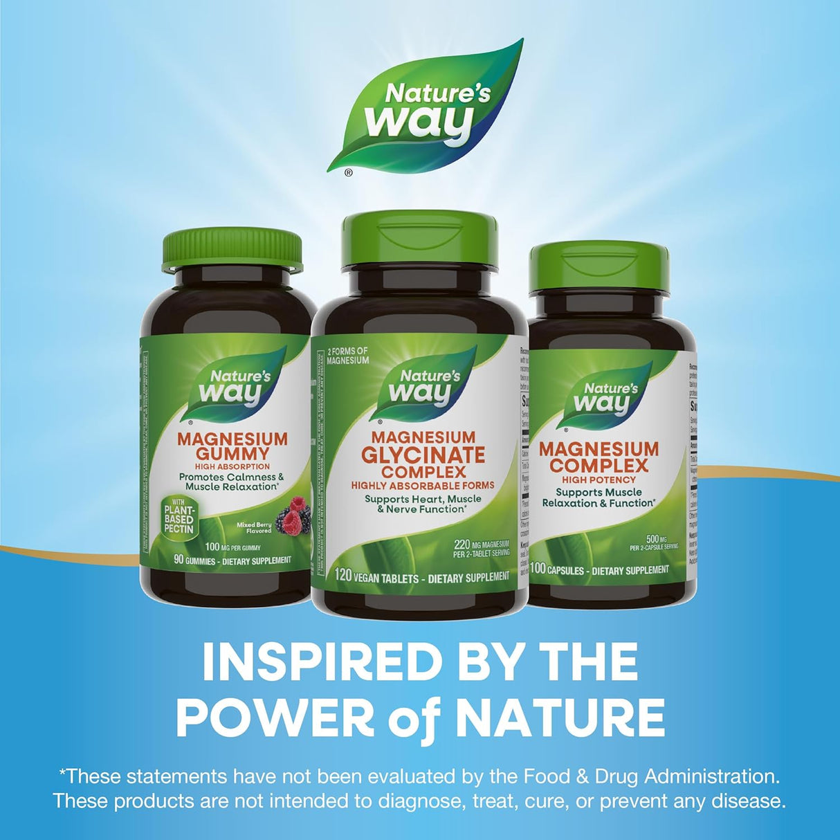 Nature's Way Magnesio Glicinato Complejo, 220 mg, 120 cápsulas