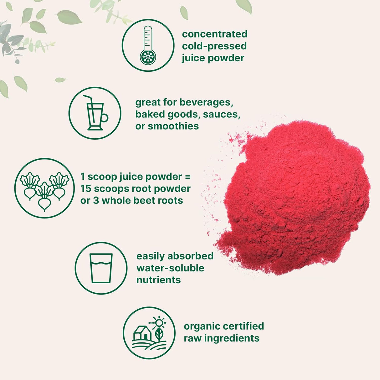 Suplemento Micro Ingredients Polvo de raíz de remolacha 1 Lb