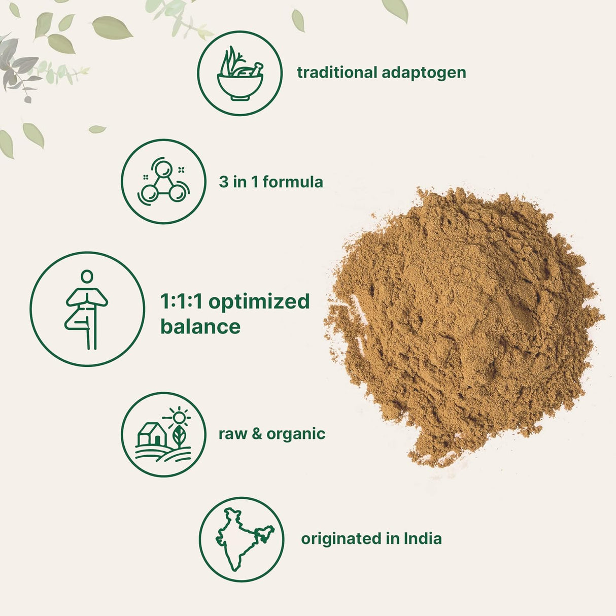 Suplemento Triphala en polvo orgánico, 2 libras Origen indio