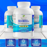 Complejo 8 en 1 de superalimentos: Sea Moss, Black Seed, Ashwagandha