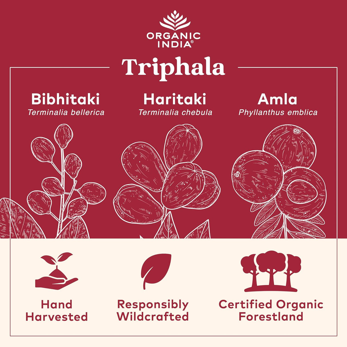 Suplemento ORGANIC INDIA Triphala  Apoyo a la digestión