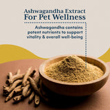 Ayush Pet Chews Calmantes Ayurvédicos para Mascotas 30 Unidades
