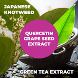 Suplemento Knotweed japonesas de resveratrol con 1000 mg