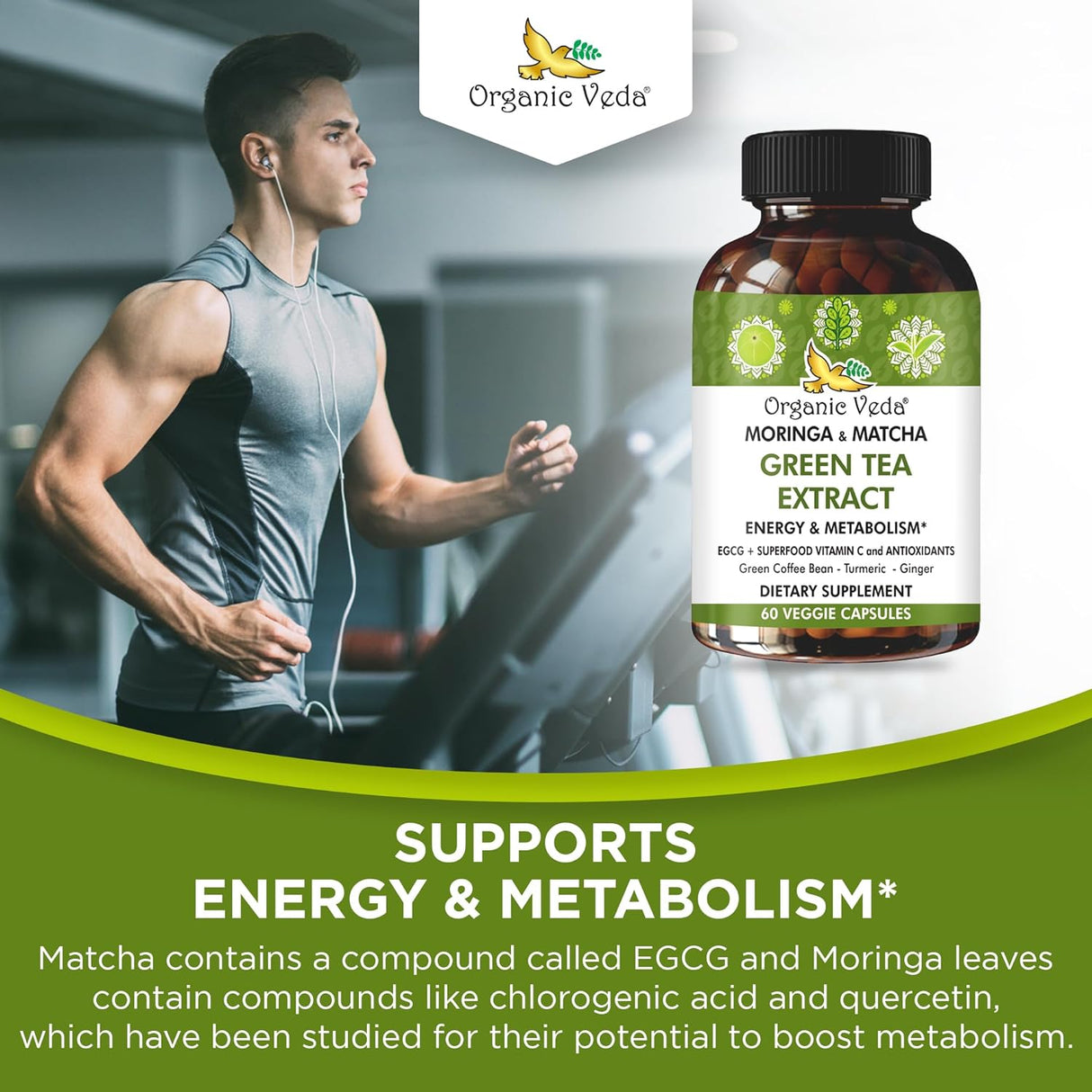 Suplemento de Té Verde Moringa y Matcha con ECGC y Cúrcuma