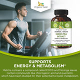 Suplemento de Té Verde Moringa y Matcha con ECGC y Cúrcuma