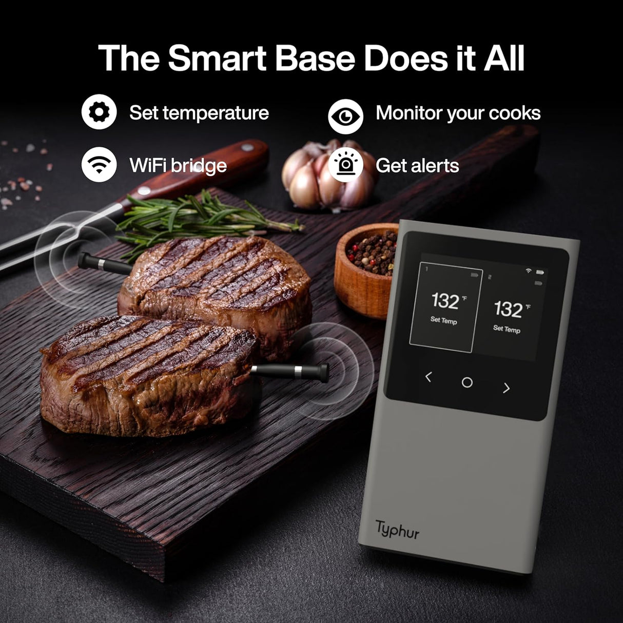 Termómetro de carne inalámbrico, Bluetooth, 2 sondas, modelo XYZ