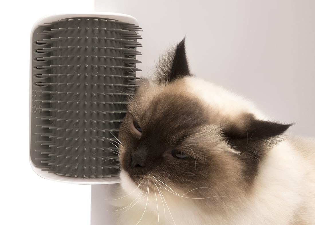 Juguete para gatos Catit Senses 2.0