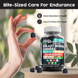Gomitas de Shilajit con Musgo de Irlanda Clean Nutra (1)
