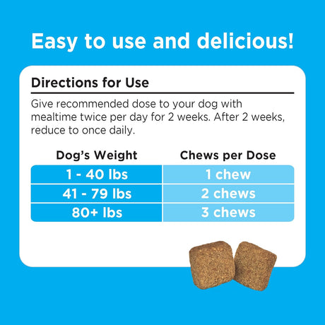 Vitaminas de comer caca para perros
