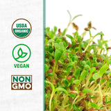 Semillas de Alfalfa 100% Orgánicas Back to the Roots 1 Libra