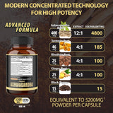 Suplementos Ashwagandha prémium 5 en 1 a 5200 mg en polvo
