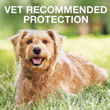 Prevención de pulgas y garrapatas para perros extra grandes
