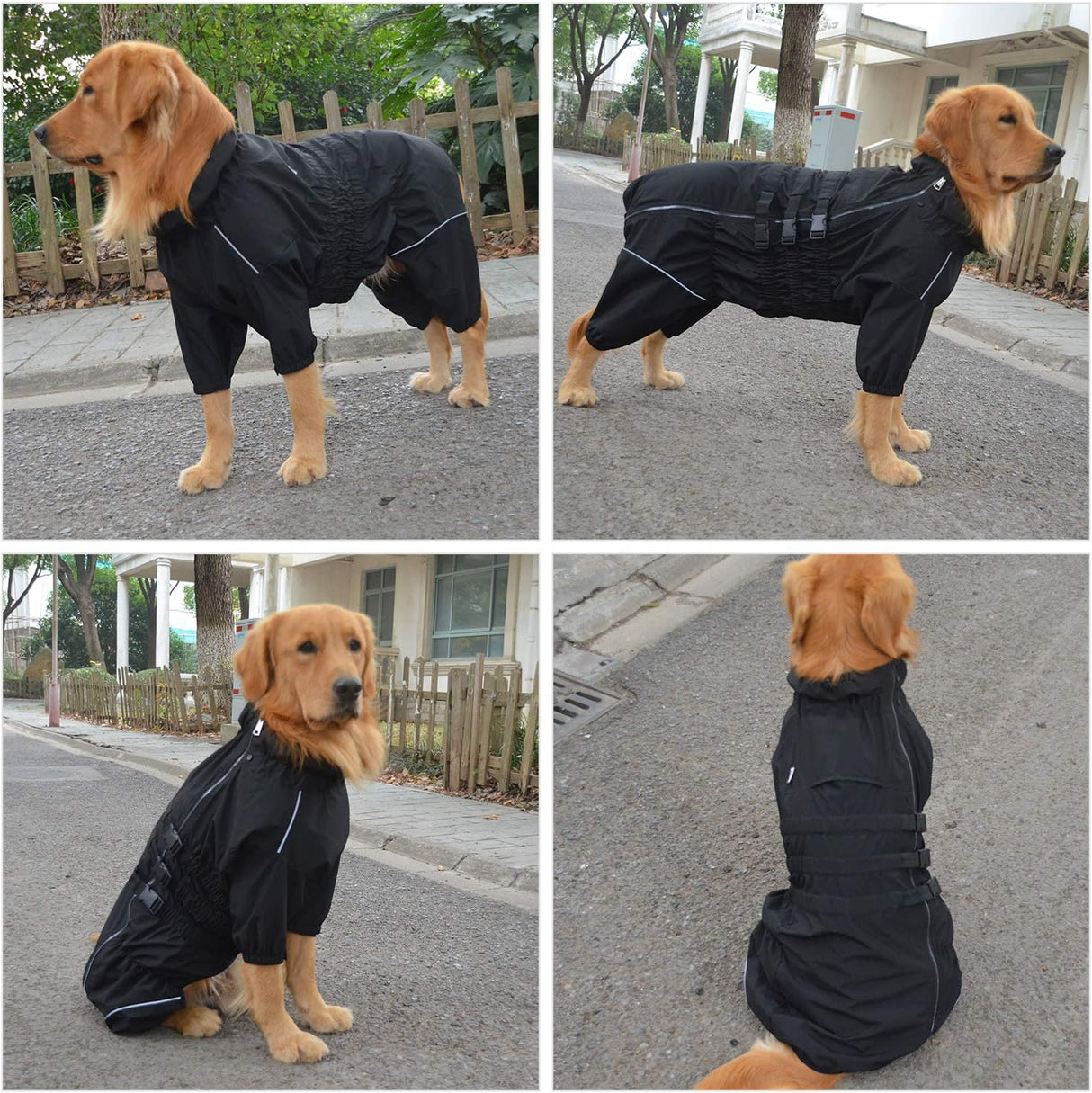 Chaqueta impermeable para perros, segura, ligera, XXL