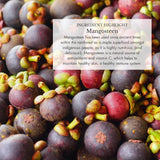 Suplemento adaptogénico de setas, Anima Mundi, gotas de 2oz