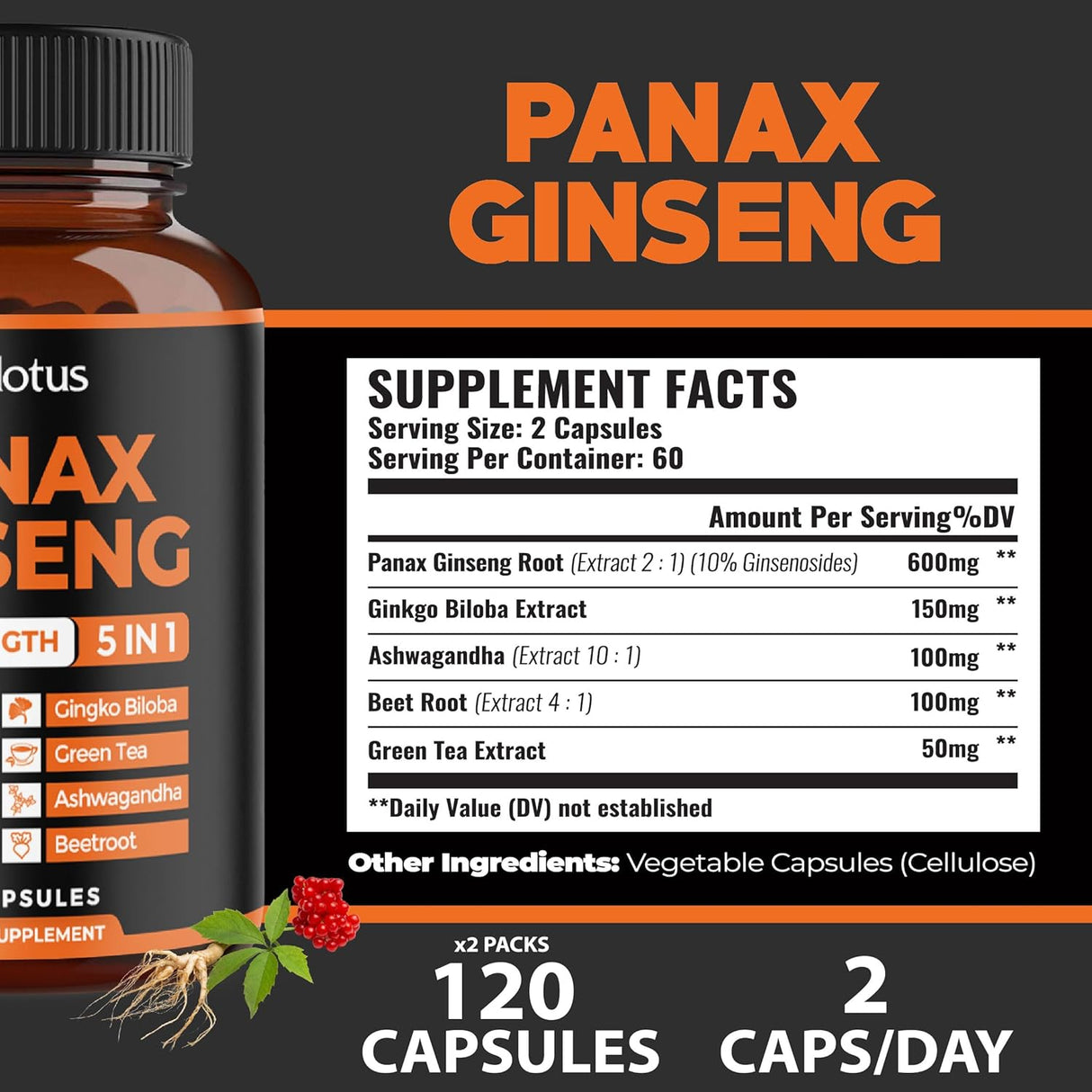 Zolotus Ginseng y Ginkgo Biloba, 240 Cápsulas, Energía y Enfoque