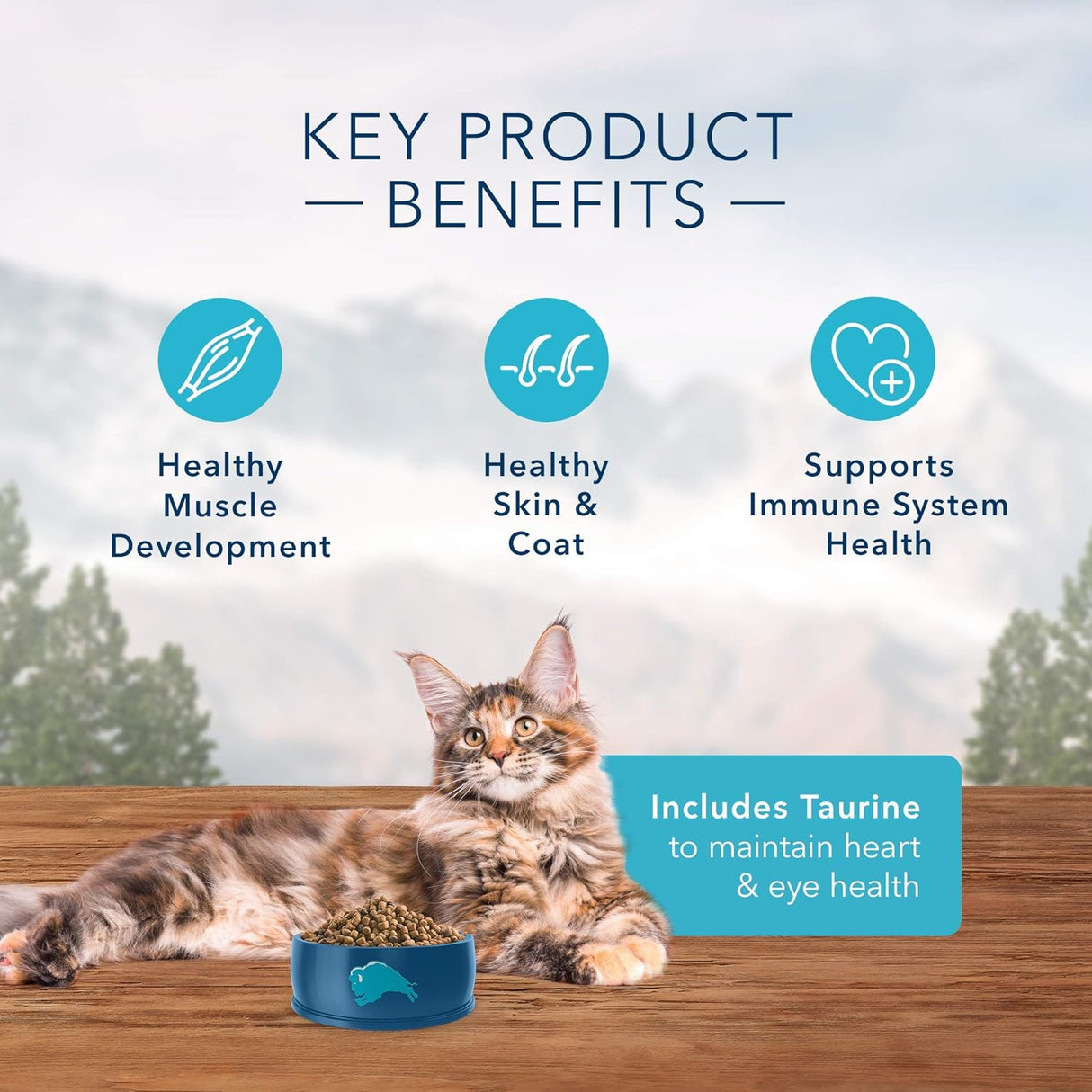 Blue Buffalo Wilderness - Alimento seco natural para gatos adultos, alto en proteínas, pato, 5 libras