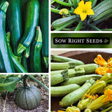 Colección de Semillas de Calabacín - Sow Right Seeds - Heirloom