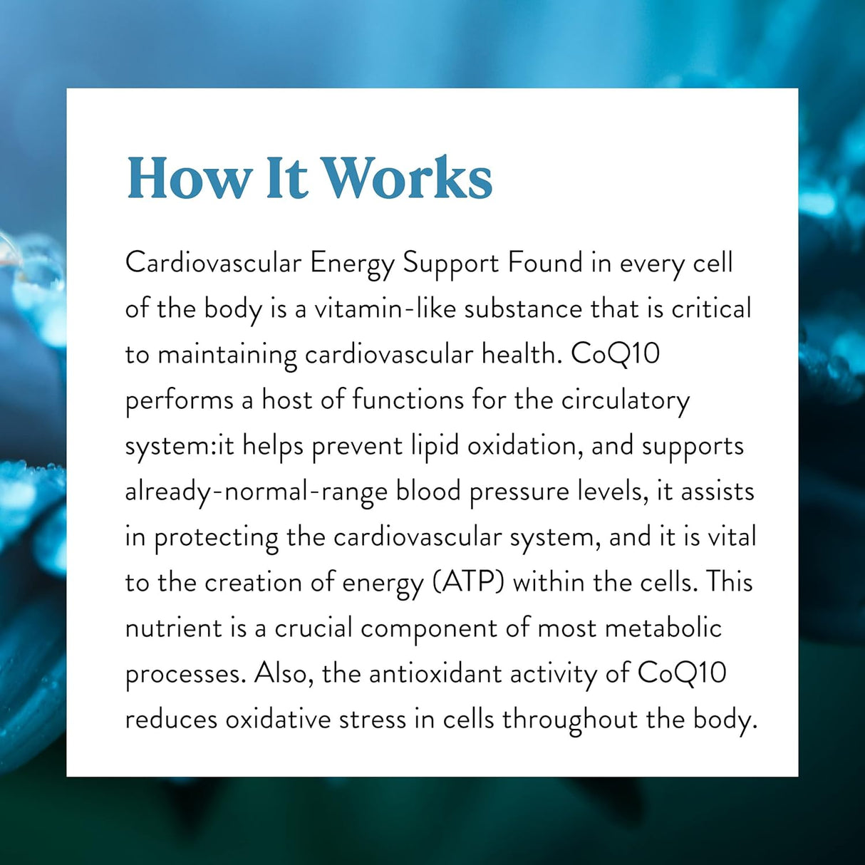 Coenzima Q10 Nature's Sunshine 60 Cápsulas