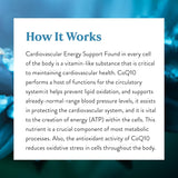 Coenzima Q10 Nature's Sunshine 60 Cápsulas