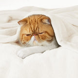 Manta Fleece Bedsure - Ligera, Suave, Microfibra - Throw Blanket