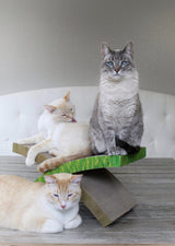 Rascador de cartón para gatos sofá y lugar de juegos