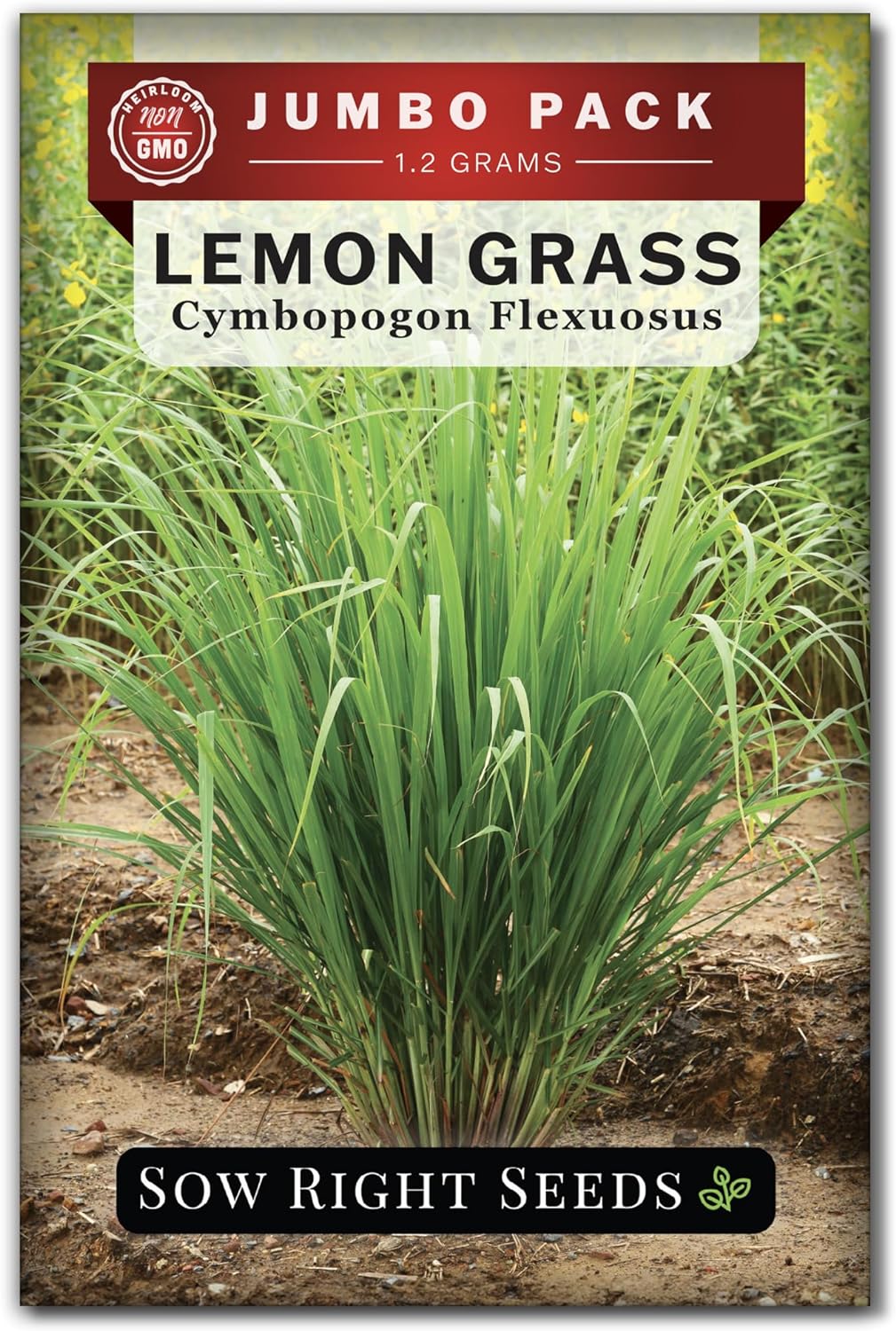 Semillas de Hierba Limón - Sow Right Seeds - 1600 Semillas