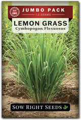 Semillas de Hierba Limón - Sow Right Seeds - 1600 Semillas