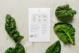 Colección de Semillas de Lechuga Sereniseed Orgánicas 10Pack
